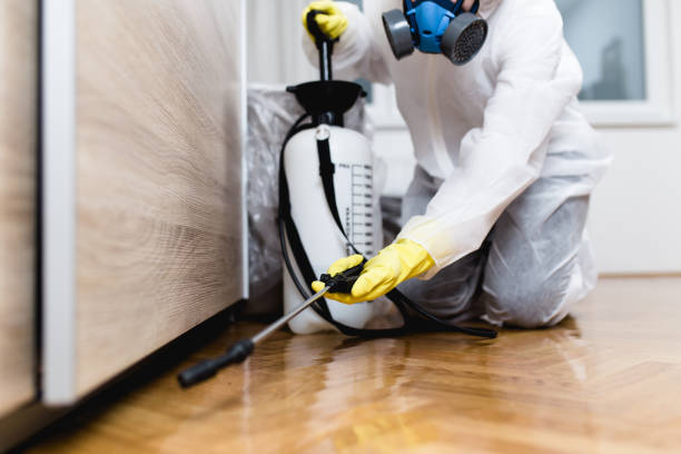 Flea Control Services in Highland Park, IL